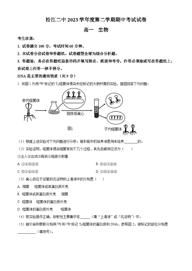 上海市松江二中2023-2024学年高一下学期中考试生物试卷（原卷版）第1页