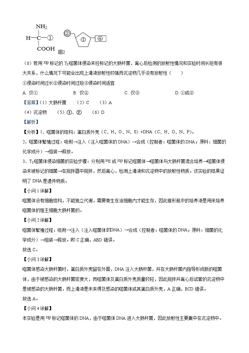 上海市松江二中2023-2024学年高一下学期中考试生物试卷（解析版）第2页