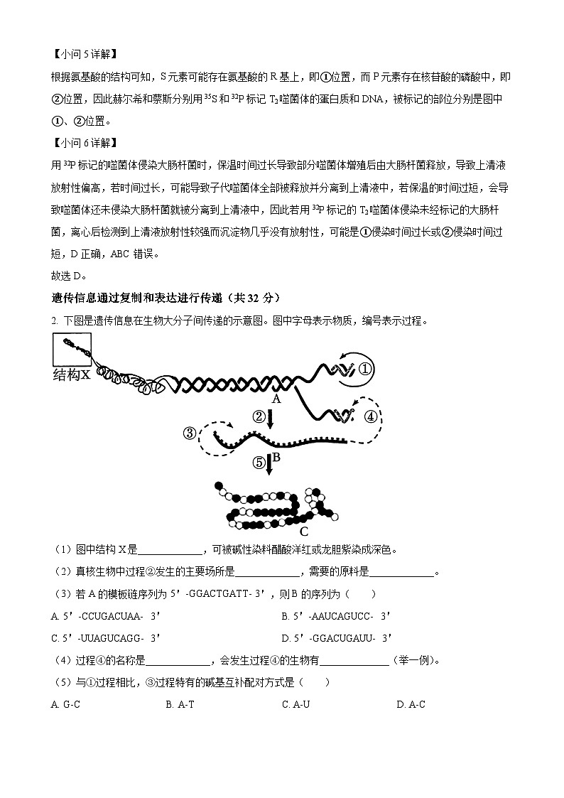上海市松江二中2023-2024学年高一下学期中考试生物试卷（解析版）第3页