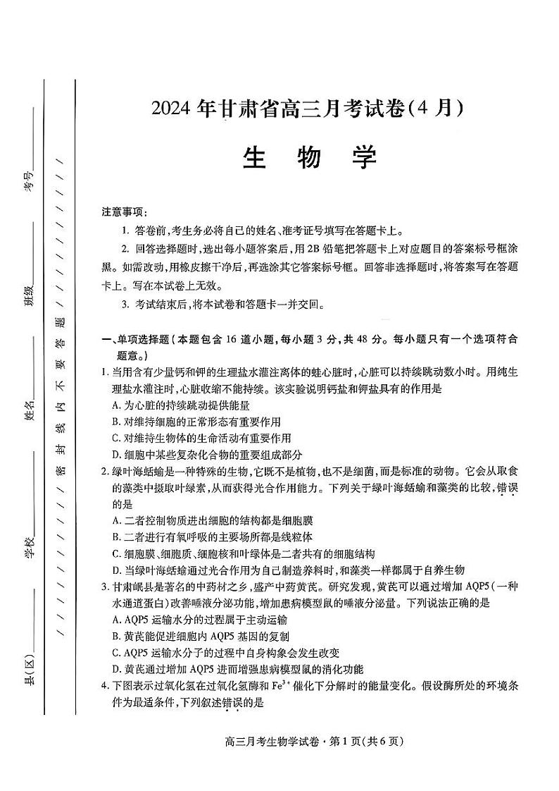 2024年甘肃省高三月考试卷（4月）生物试卷（附参考答案）01