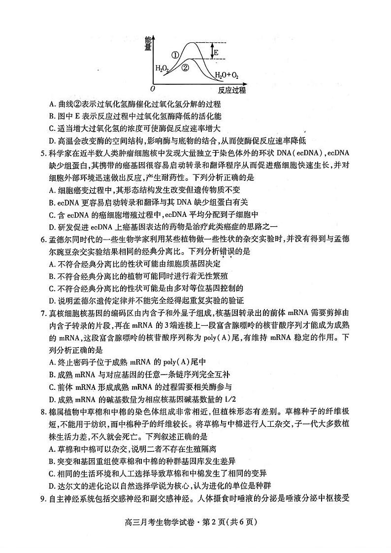 2024年甘肃省高三月考试卷（4月）生物试卷（附参考答案）02