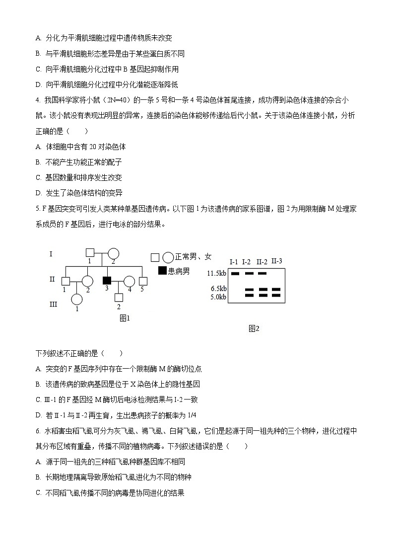 北京市朝阳区2024届高三下学期4月一模试题 生物 Word版含解析02
