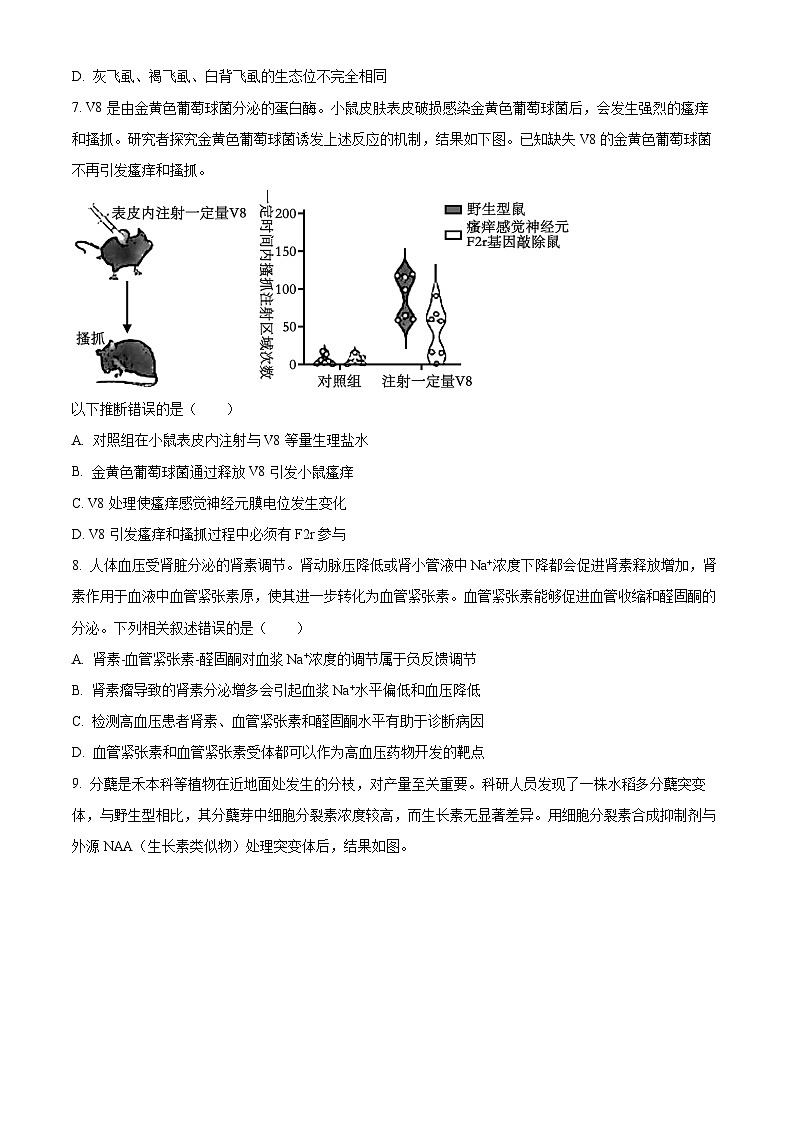 北京市朝阳区2024届高三下学期4月一模试题 生物 Word版含解析03