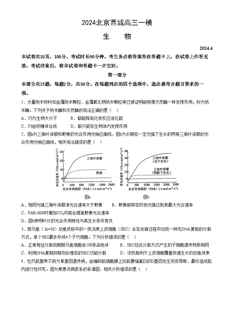 北京市西城区2024届高三下学期4月一模试题 生物 Word版含答案01