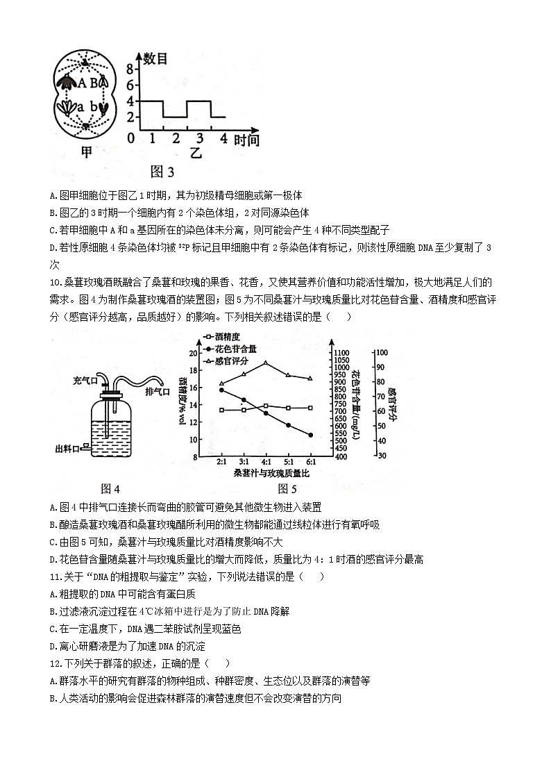 广西贵百河联考2024届高三下学期4月新高考二模试题 生物 Word版含解析03