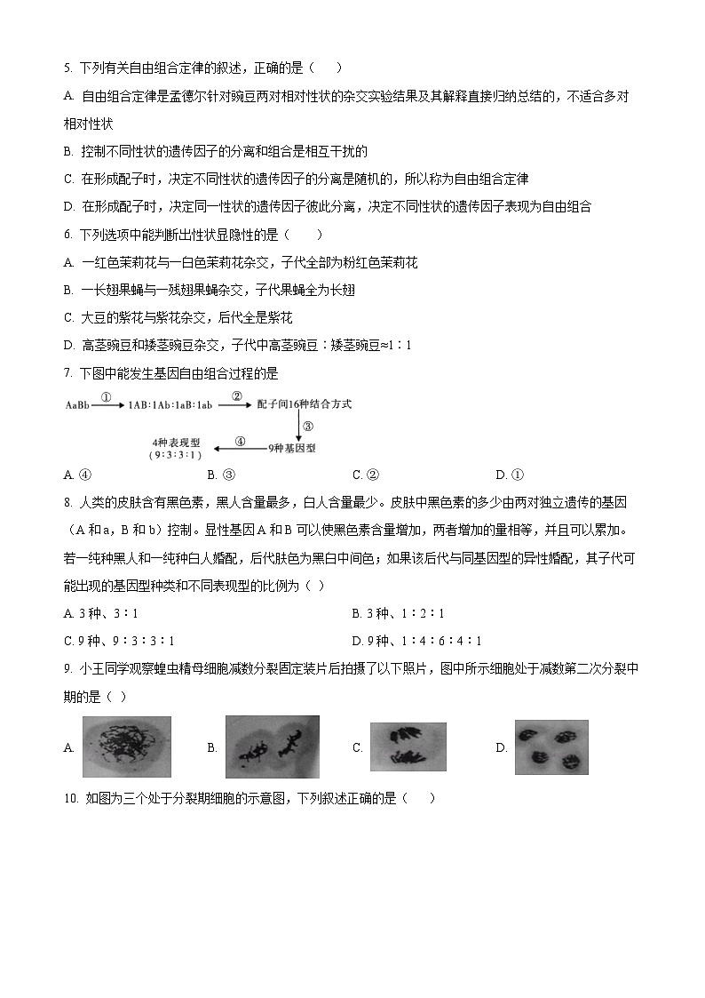 河南省南阳市2023-2024学年高一下学期期中考试生物试卷（原卷版+解析版）02