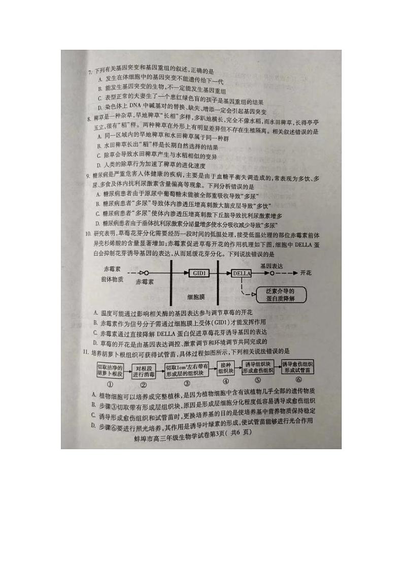 安徽省蚌埠市2024届高三下学期第四次教学质量检测考试（滁州二模同卷）生物试题（PDF版附答案）第3页