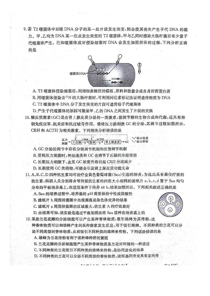 河北省邢台市2024届高三下学期一模生物试题（PDF版附答案）03