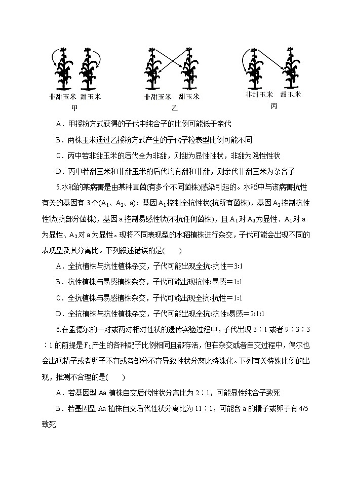 湖北省武汉市常青联合体2023-2024学年高一下学期期中考试生物试卷第2页