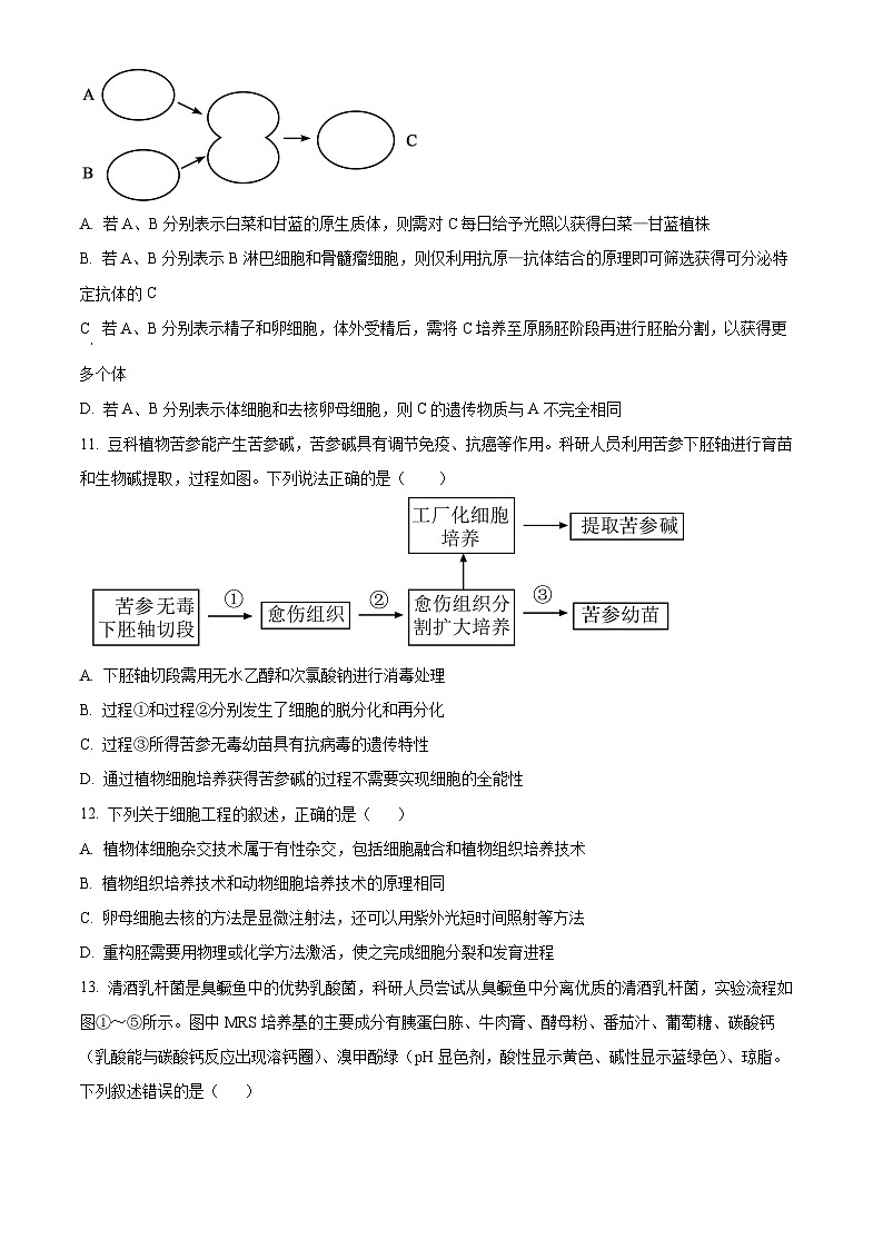 四川省眉山市仁寿县实验中学2023-2024学年高二下学期4月期中生物试题（Word版附解析）03