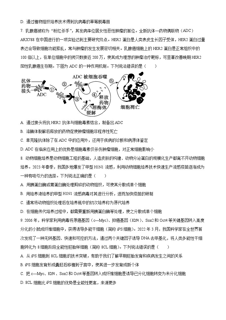 山东省聊城市2022-2023学年高二下学期期中考试生物试卷（Word版附解析）03
