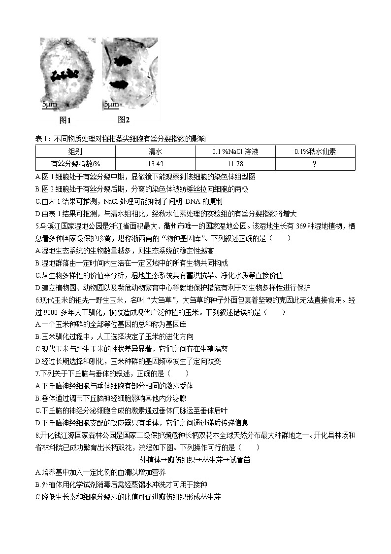 浙江省衢温51联盟2023-2024学年高二下学期4月期中联考生物试卷（Word版附答案）02