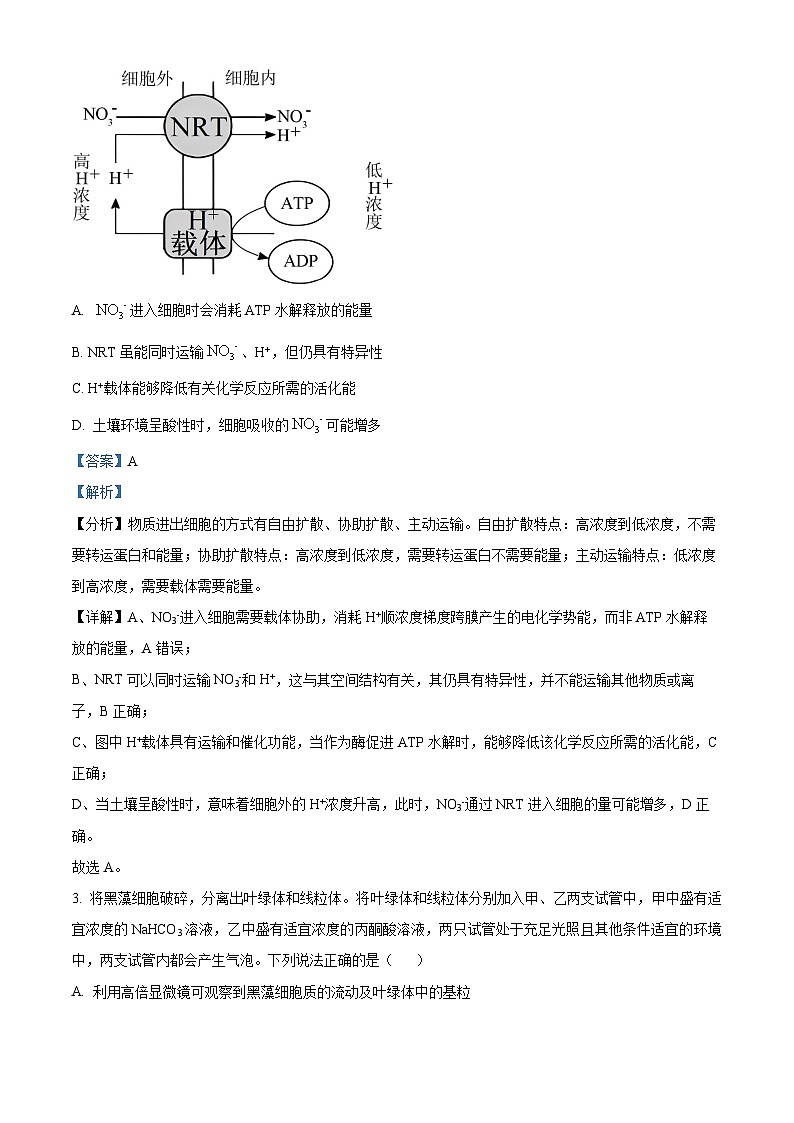 安徽省皖江名校联盟2024届高三下学期二模生物试卷（Word版附解析）02