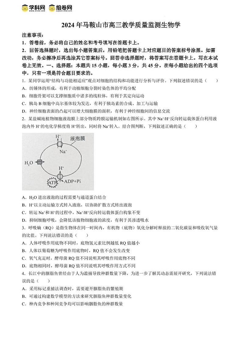 2024届安徽省马鞍山市高三下学期三模生物试题01