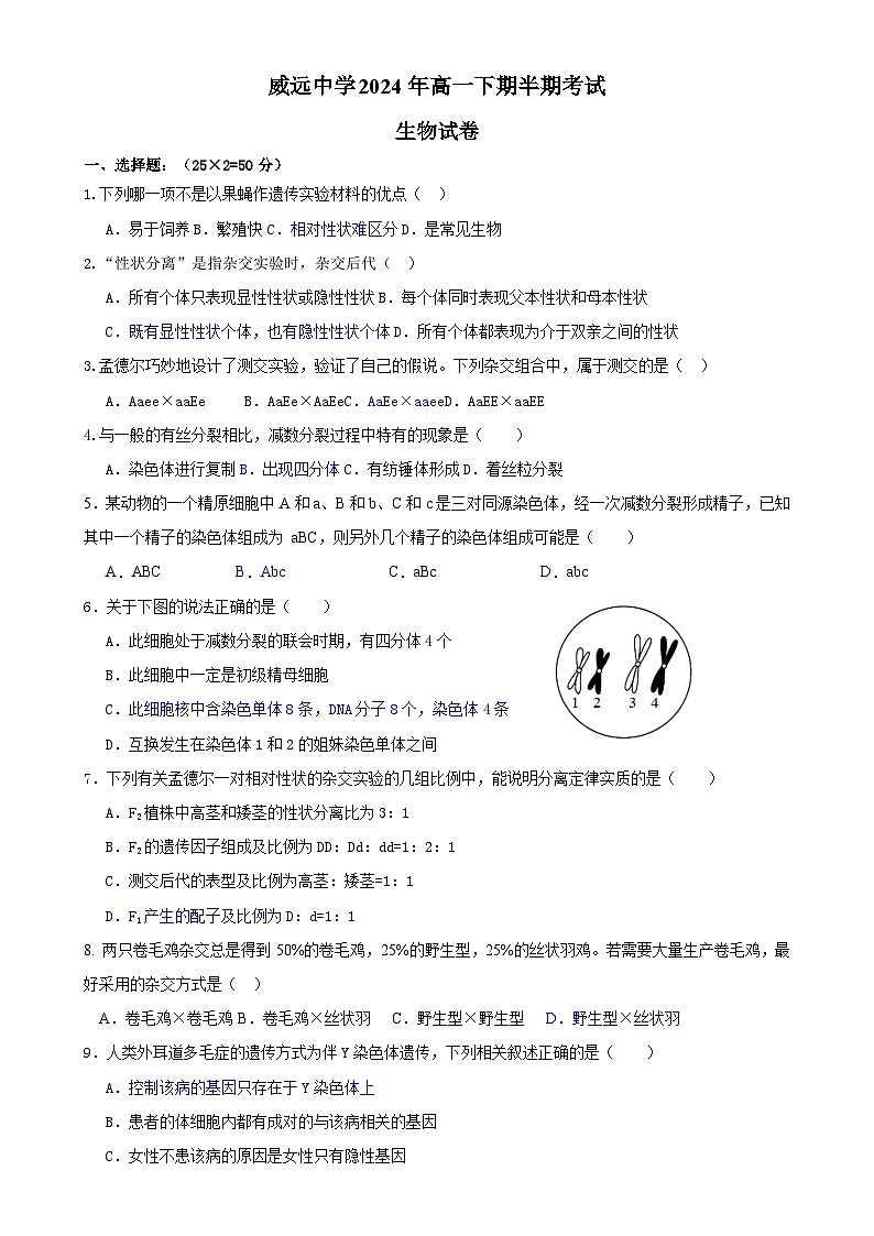 四川省内江市威远中学校2023-2024学年高一下学期期中考试生物试题01