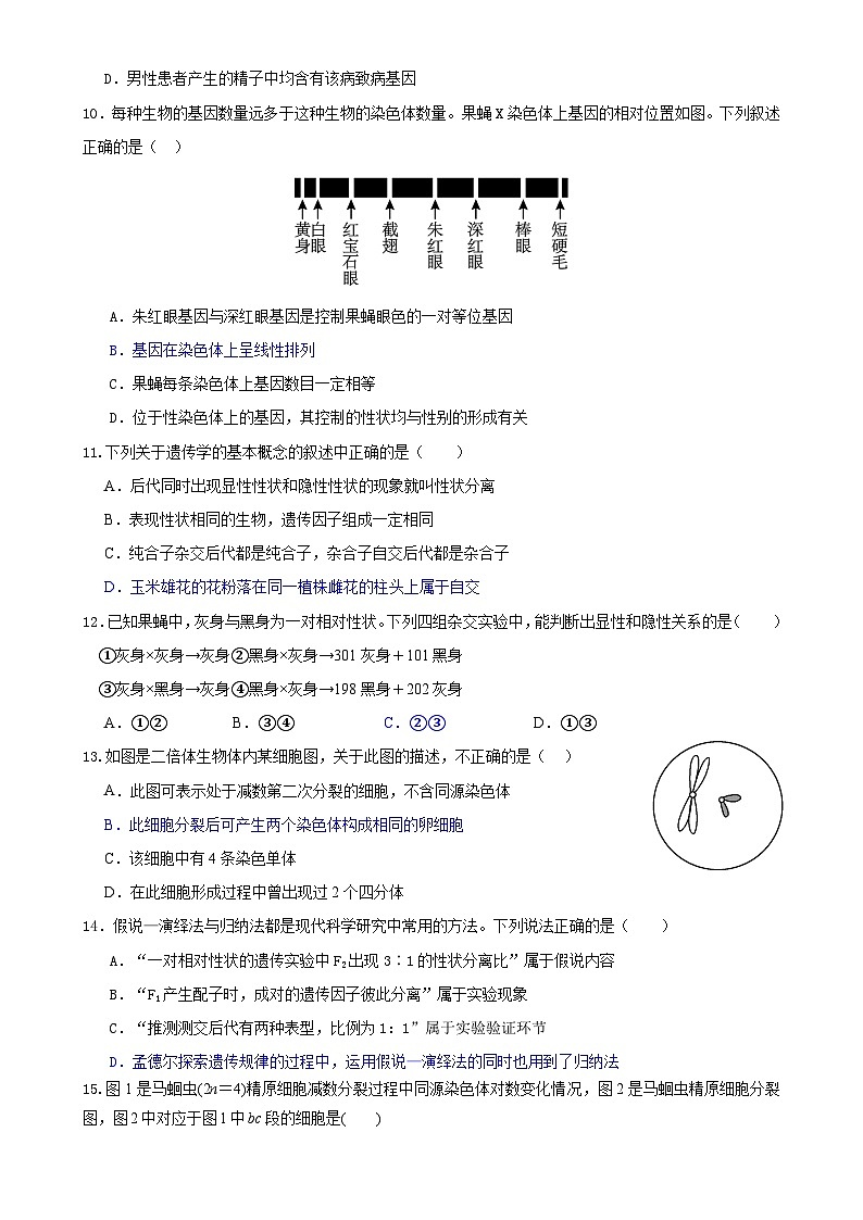 四川省内江市威远中学校2023-2024学年高一下学期期中考试生物试题02