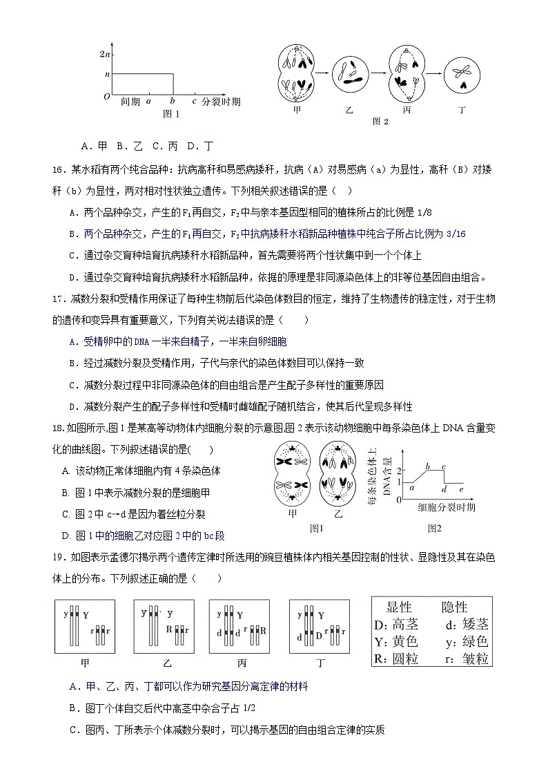 四川省内江市威远中学校2023-2024学年高一下学期期中考试生物试题03