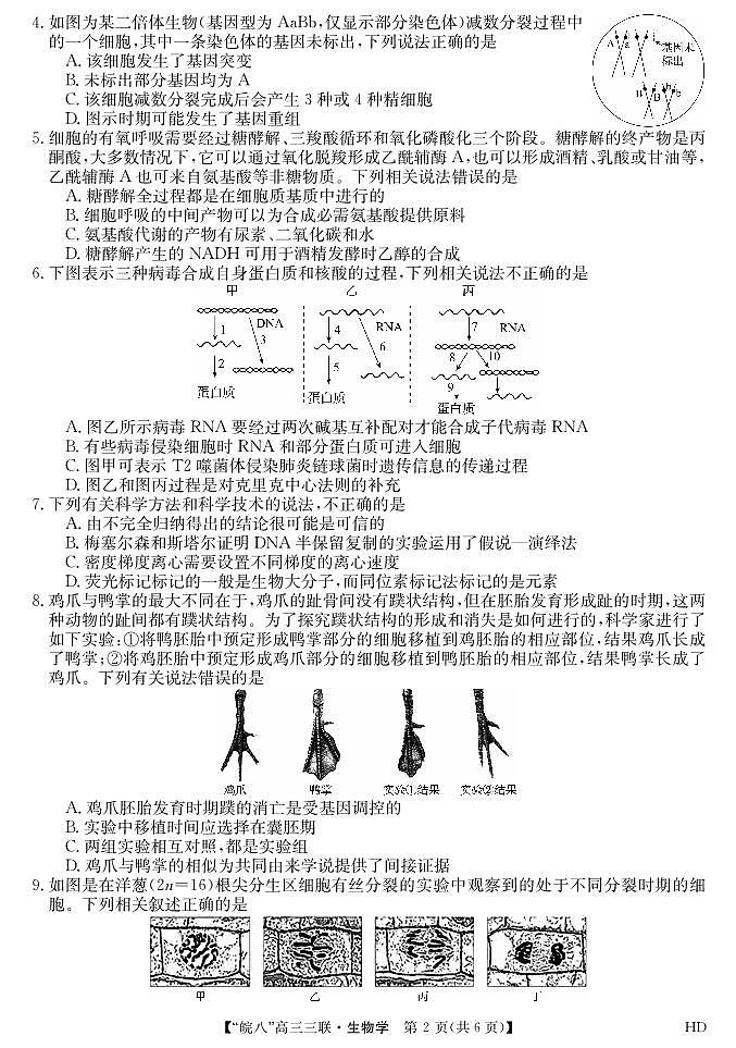 2024届安徽皖南八校高三第三次大联考生物试卷及参考答案02