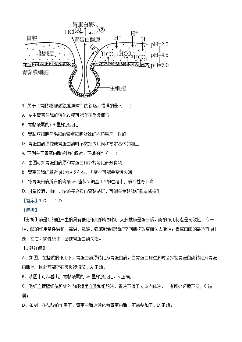 浙江省宁波市2024届高三下学期二模生物试题 Word版含解析03