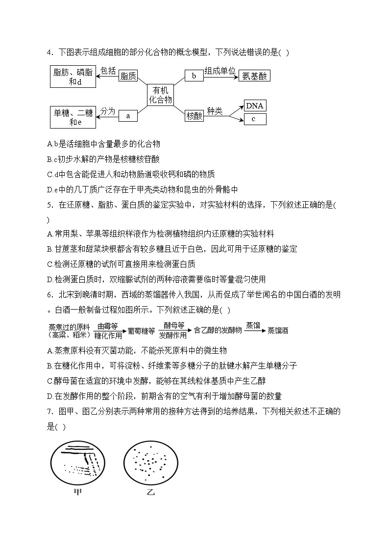 广东省深圳市龙岗四校2022-2023学年高二下学期期中联考生物试卷(含答案)02