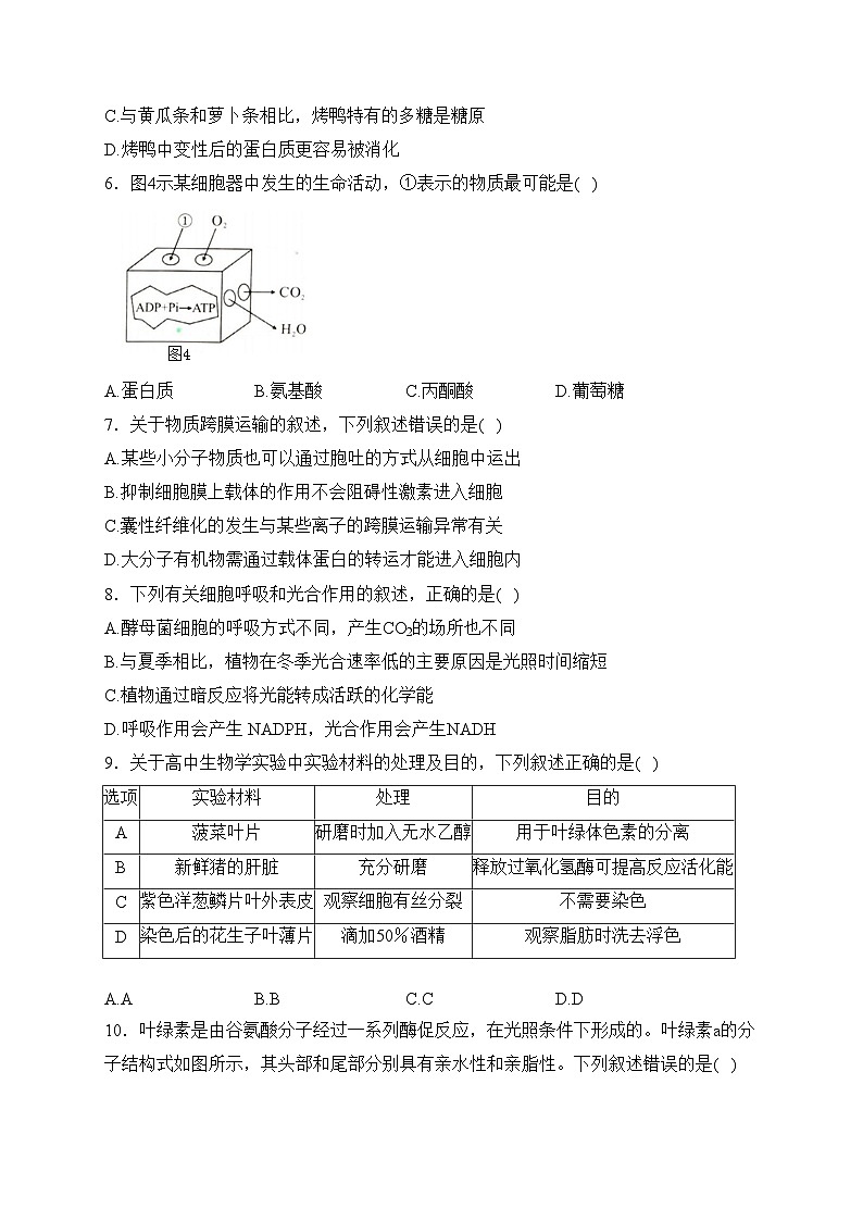开平市忠源纪念中学2022-2023学年高一下学期期中考试生物试卷(含答案)02
