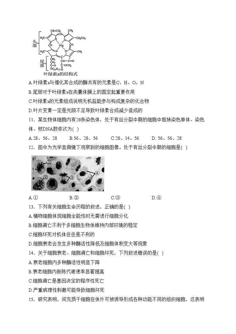 开平市忠源纪念中学2022-2023学年高一下学期期中考试生物试卷(含答案)03