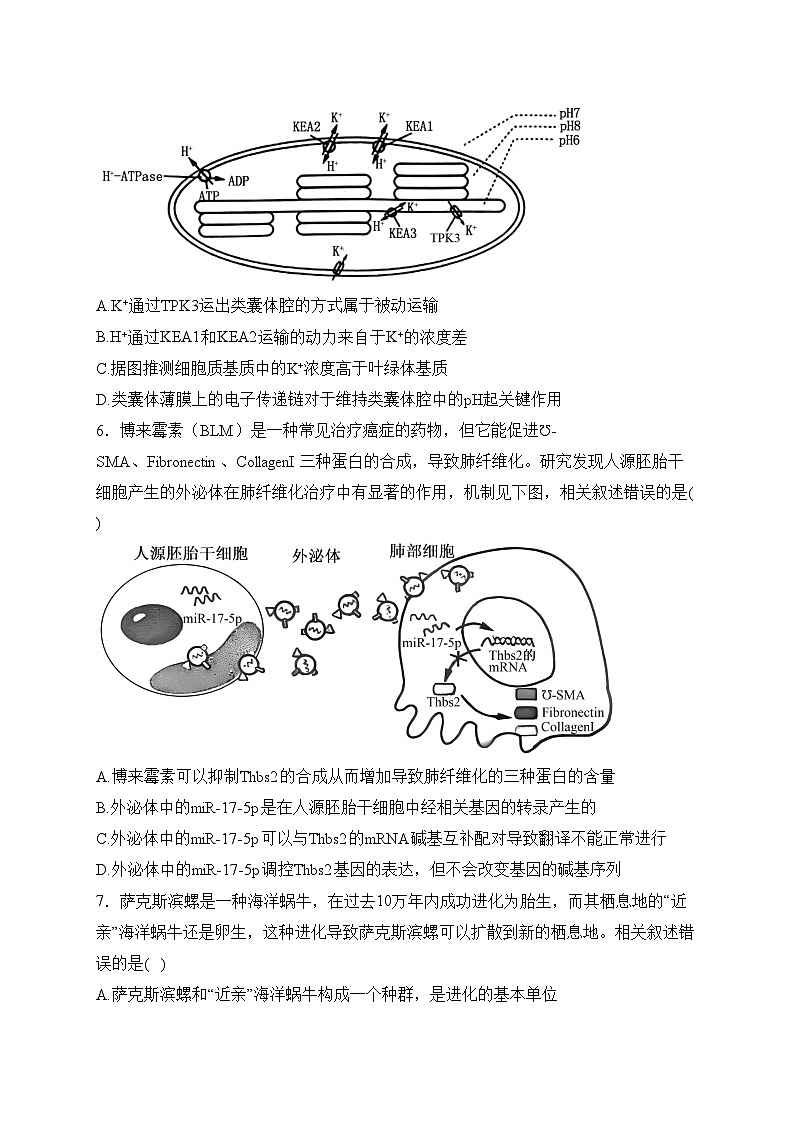苏北七市（南扬泰徐淮连宿）2024届高三下学期第二次调研测试（二模）生物试卷(含答案)第2页