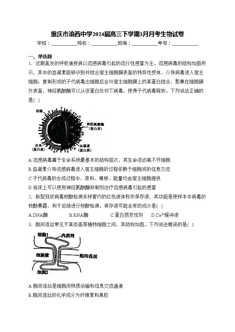 重庆市渝西中学2024届高三下学期3月月考生物试卷(含答案)01