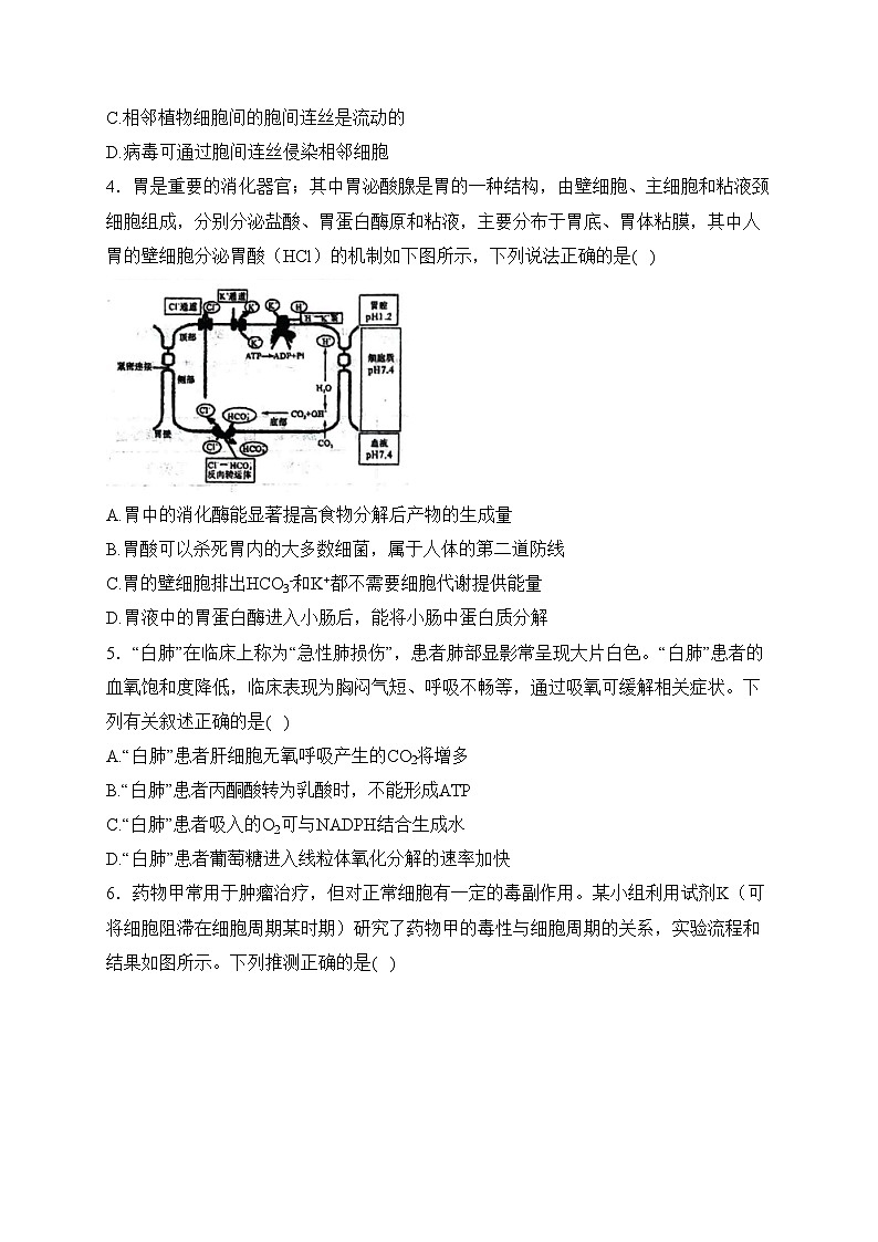 重庆市渝西中学2024届高三下学期3月月考生物试卷(含答案)02