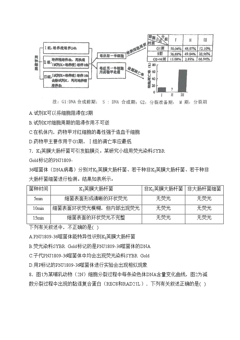 重庆市渝西中学2024届高三下学期3月月考生物试卷(含答案)03