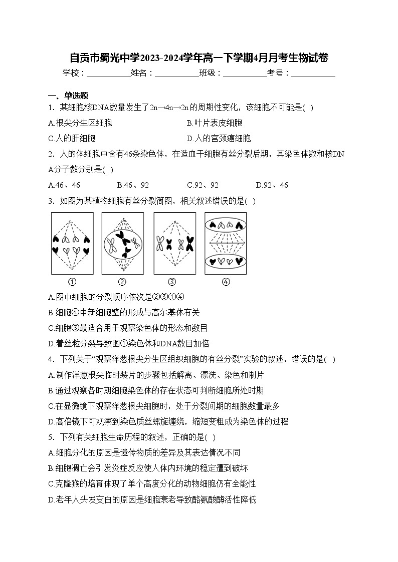 自贡市蜀光中学2023-2024学年高一下学期4月月考生物试卷(含答案)第1页