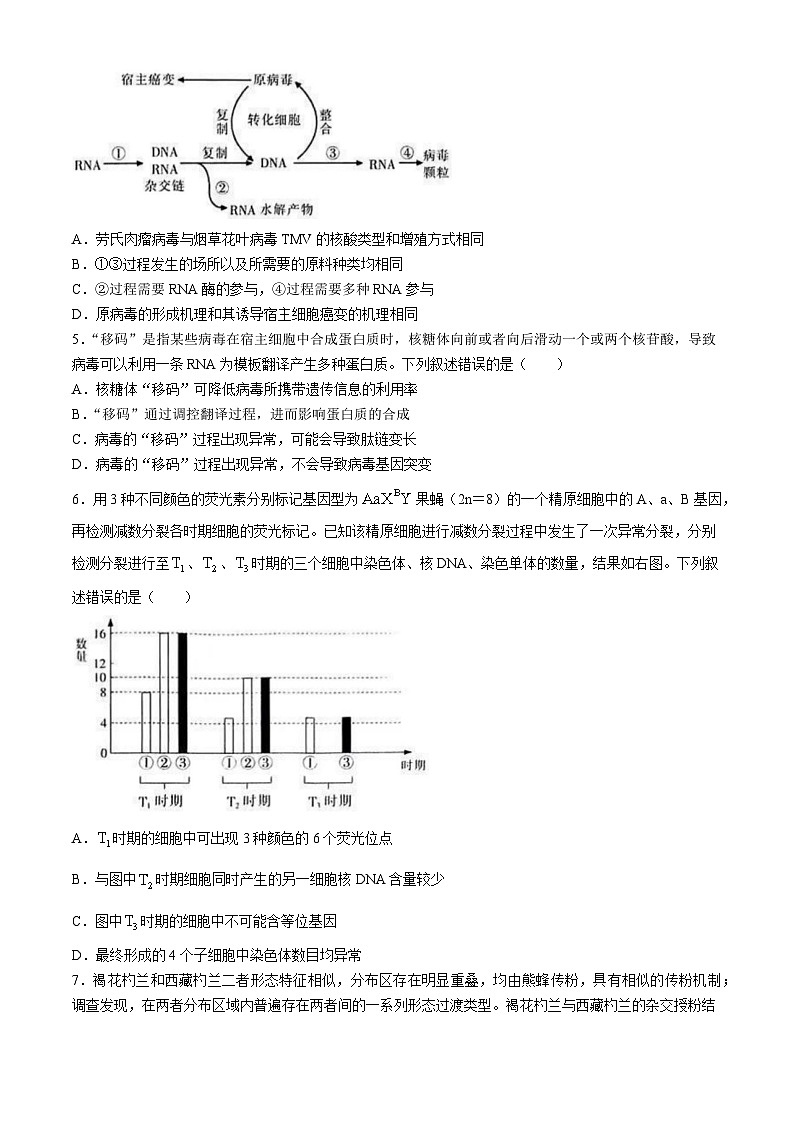 2024江苏省新高考基地学校高三下学期第五次大联考试题生物含答案第2页