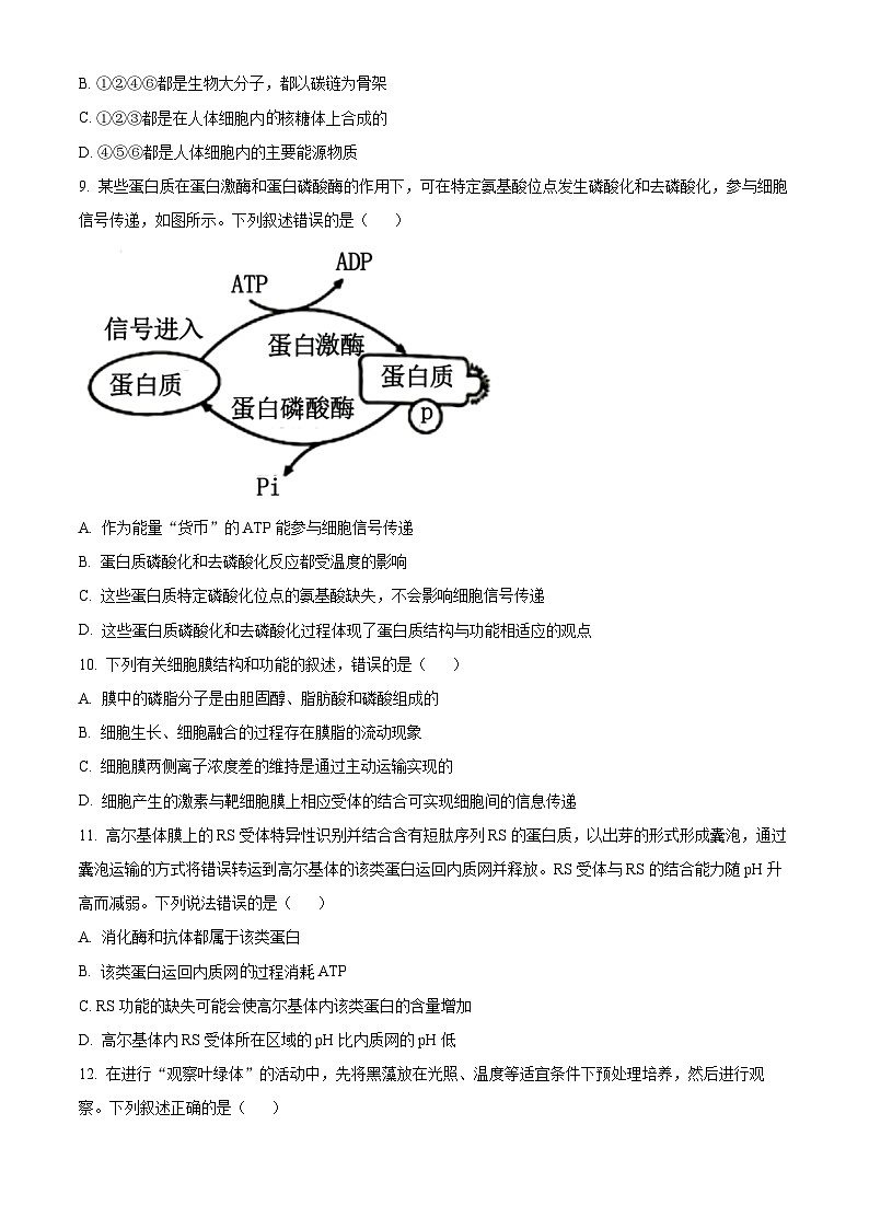 安徽省芜湖市第十二中学2023届高三下学期二模生物试卷无答案第3页