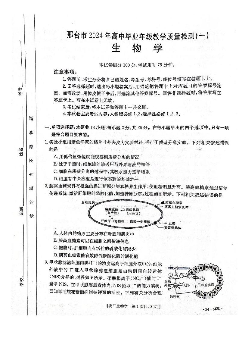 2024邢台高三下学期一模试题生物PDF版含答案01