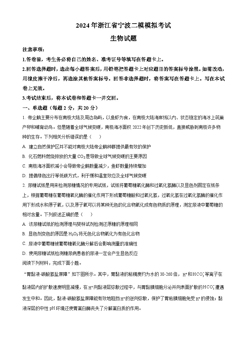 2024宁波高三下学期二模生物试题含解析01