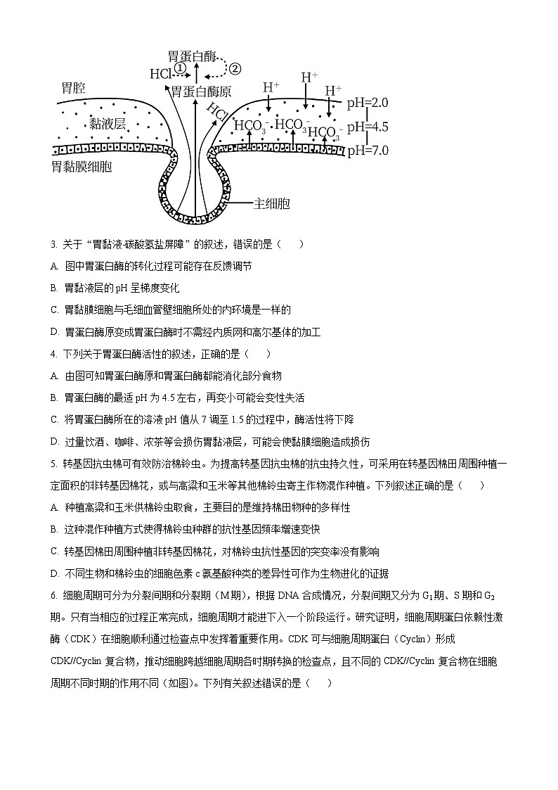 2024宁波高三下学期二模生物试题含解析02