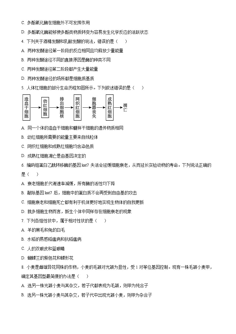 内蒙古自治区名校联盟2023-2024学年高一下学期期中联考生物试题（原卷版+解析版）02