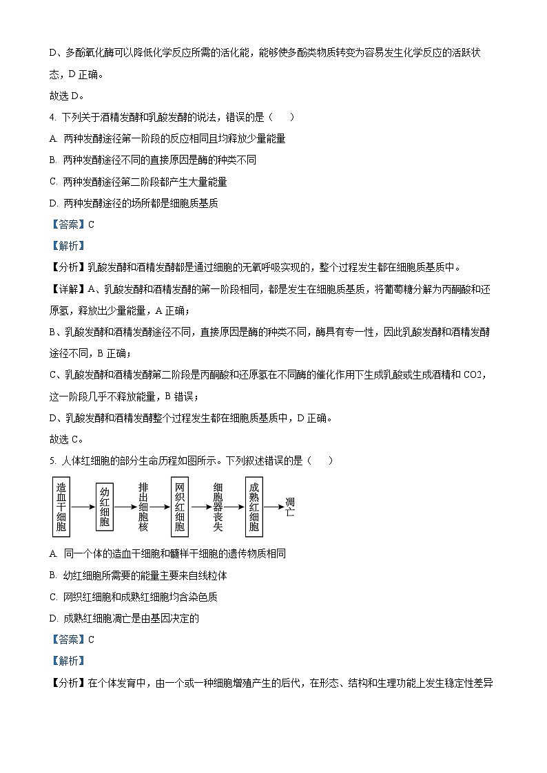 内蒙古自治区名校联盟2023-2024学年高一下学期期中联考生物试题（原卷版+解析版）03