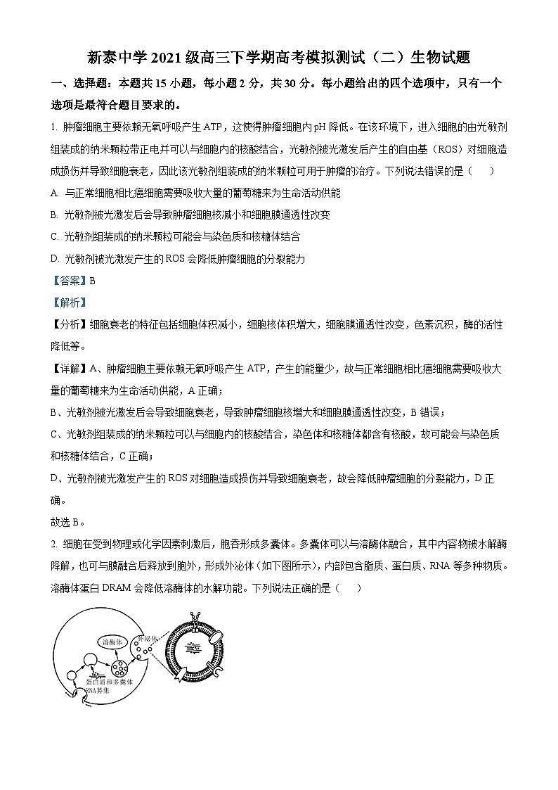山东省泰安市新泰第一中学老校区（新泰中学）2023-2024学年高三下学期第二次模拟生物试题（原卷版+解析版）01