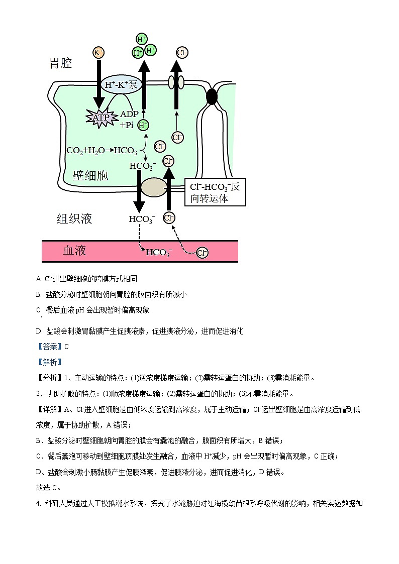 山东省泰安市新泰第一中学老校区（新泰中学）2023-2024学年高三下学期第二次模拟生物试题（原卷版+解析版）03