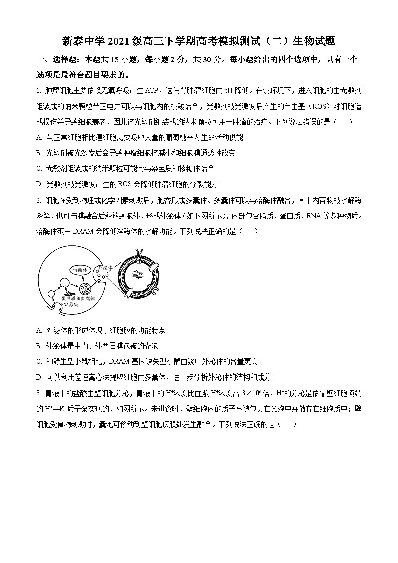 山东省泰安市新泰第一中学老校区（新泰中学）2023-2024学年高三下学期第二次模拟生物试题（原卷版+解析版）01