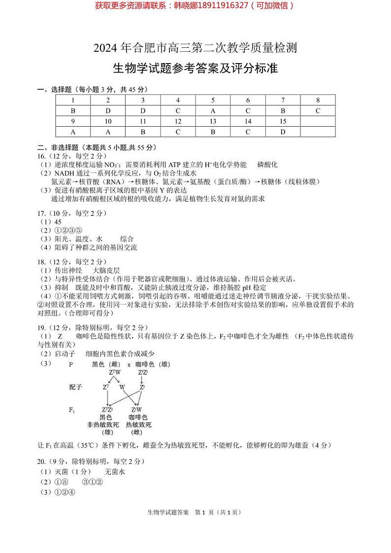 2024年合肥市高三第二次教学质量检测生物试卷及参考答案01