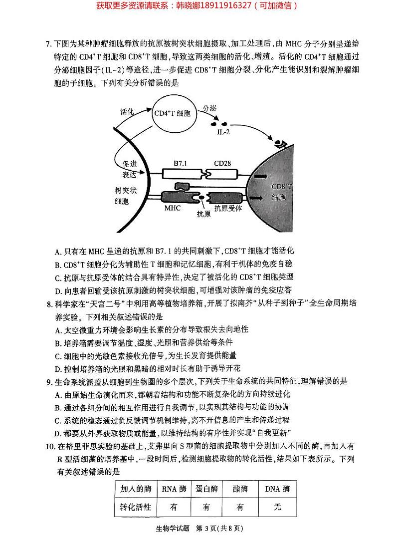2024年合肥市高三第二次教学质量检测生物试卷及参考答案03
