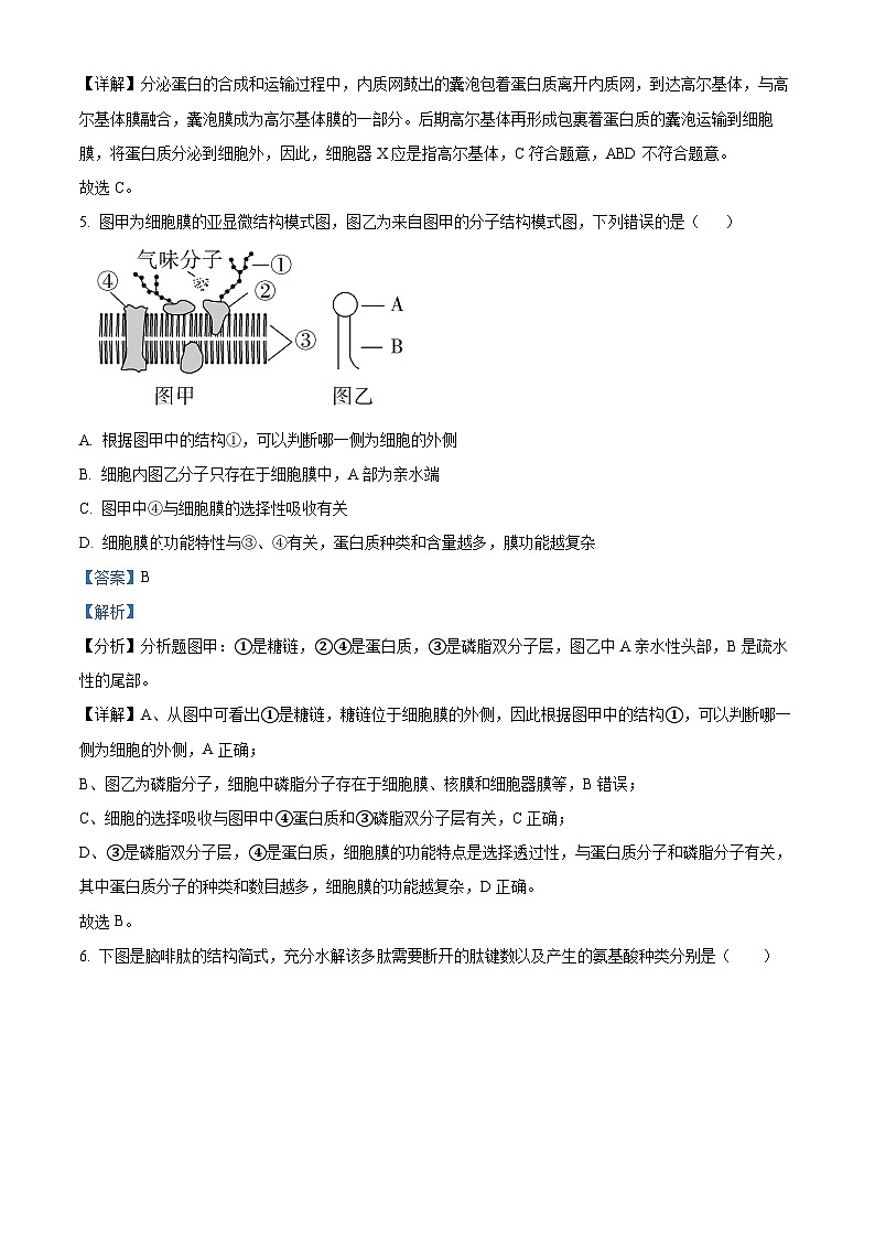 浙江省杭州市西湖区西湖高级中学2023-2024学年高一下学期4月期中考试生物试题及参考答案03