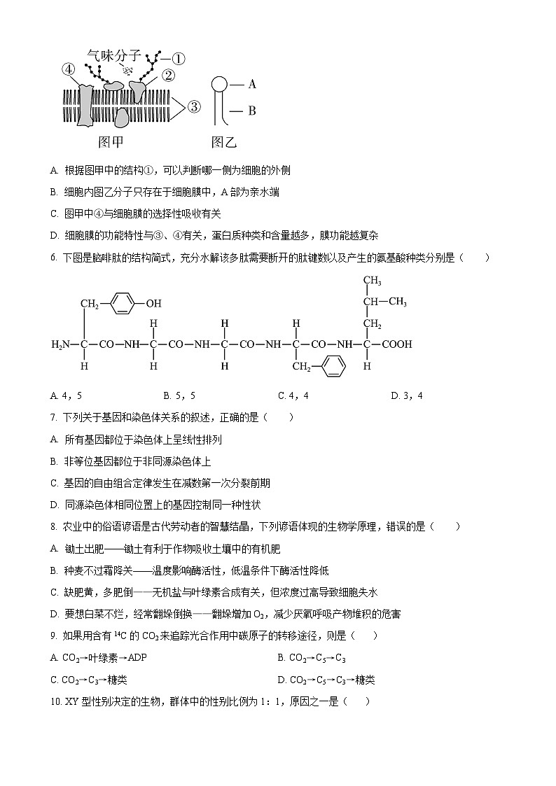 浙江省杭州市西湖区西湖高级中学2023-2024学年高一下学期4月期中考试生物试题及参考答案02