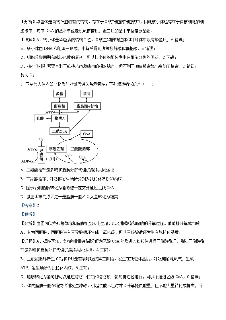 江苏省无锡市锡东高级中学2023-2024学年高三下学期4月月考生物试题（原卷版+解析版）02