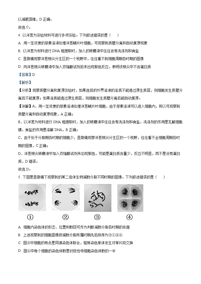 江苏省无锡市锡东高级中学2023-2024学年高三下学期4月月考生物试题（原卷版+解析版）03
