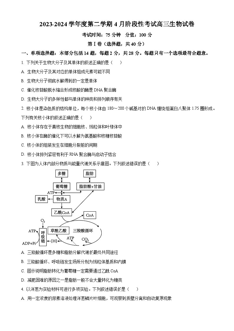 江苏省无锡市锡东高级中学2023-2024学年高三下学期4月月考生物试题（原卷版+解析版）01