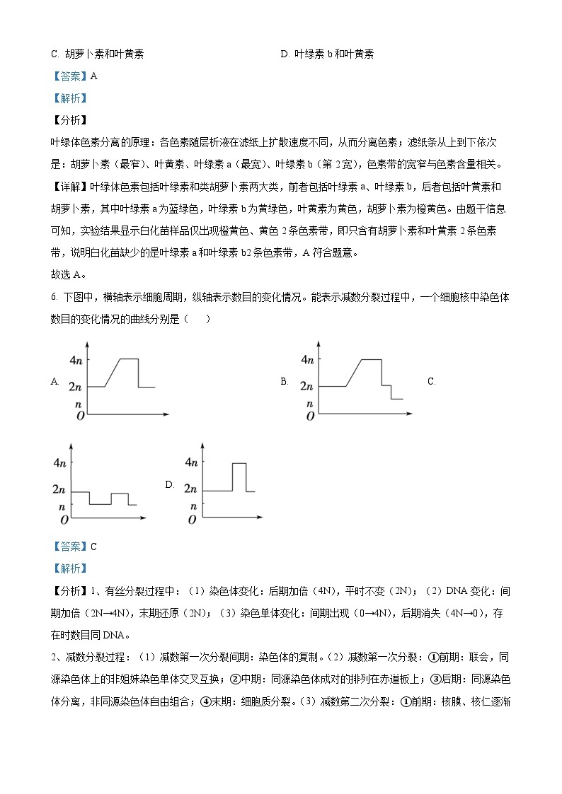 广西柳州市第三中学2023-2024学年高一下学期3月月考生物试题（原卷版+解析版）03