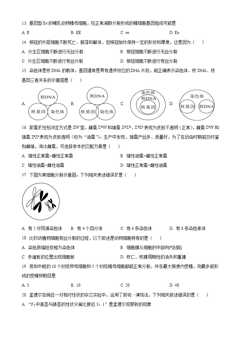 广西柳州市第三中学2023-2024学年高一下学期3月月考生物试题（原卷版+解析版）03